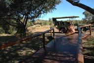 Walkway to Game drive Landy