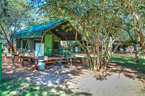 Crocodile Bridge Rest Camp Self-catering Safari Tents Kruger National Park South Africa Big Five Safari