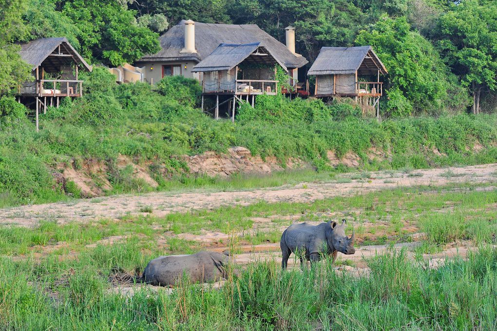 Jock Safari Lodge - Kruger National Park - Kruger Park Luxury Accommodation