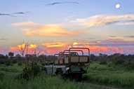 Lukimbi Safari Lodge,Luxury Safari Lodge,Big Five,Kruger National Park,South Africa