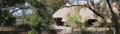 Pungwe Bush Camp
