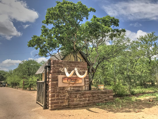 Olifants Rest Camp Big Five Wildlife Safari Kruger National Park South Africa