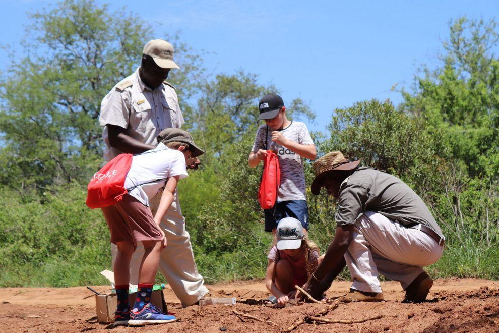 Karongwe River Lodge, Karongwe Private Game Reserve - Luxury Safari Accommodation Bookings