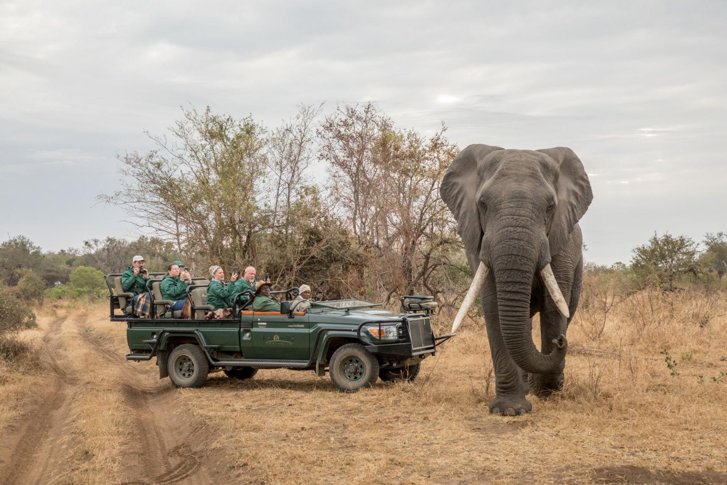 Karongwe River Lodge, Karongwe Private Game Reserve - Luxury Safari Accommodation Bookings