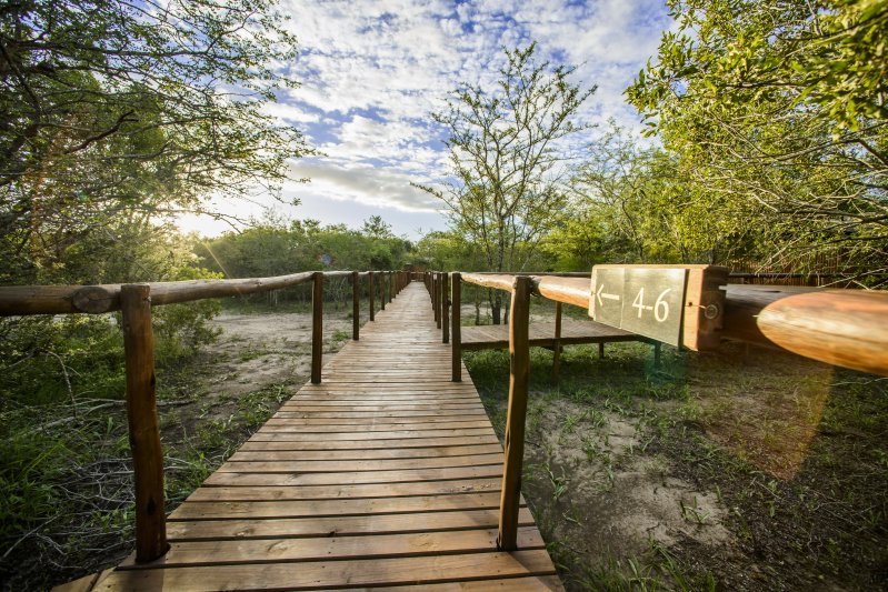 Shalati Kruger Lodge - Kruger National Park Accommodation Bookings