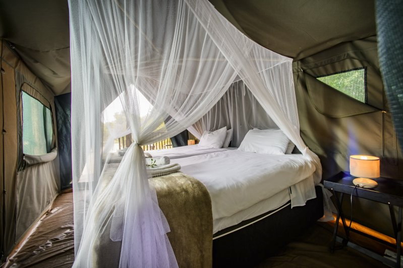 Shalati Safari Camp - Kruger National Park Accommodation Bookings